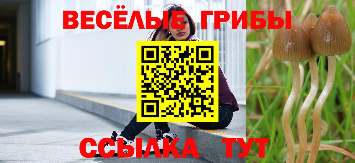 Галлюциногенные грибы прущие грибы Выборг